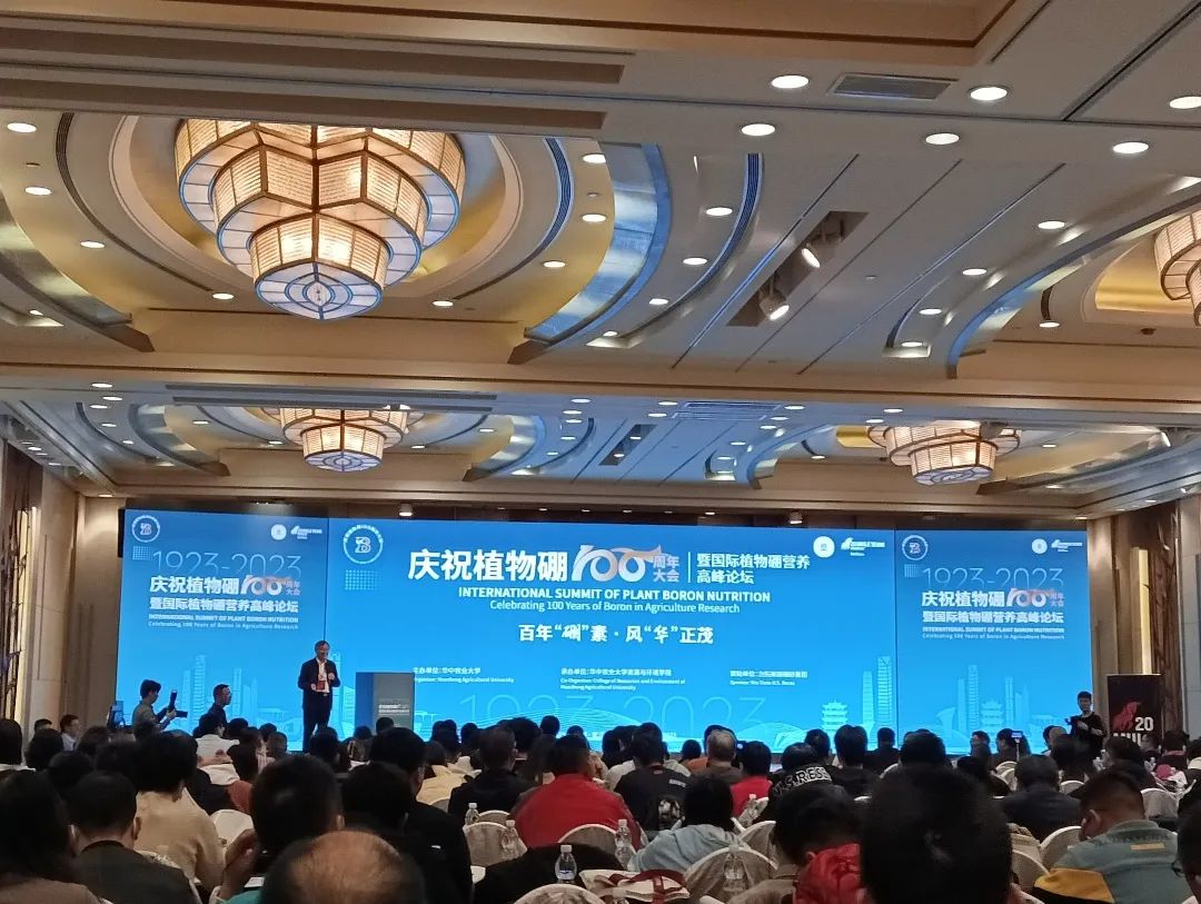 lewin乐玩官网-相信品牌力量