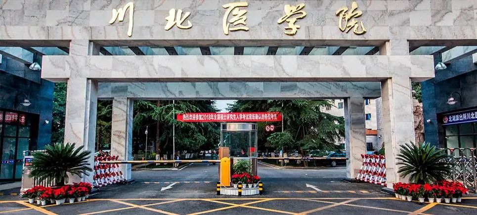 lewin乐玩官网-相信品牌力量
